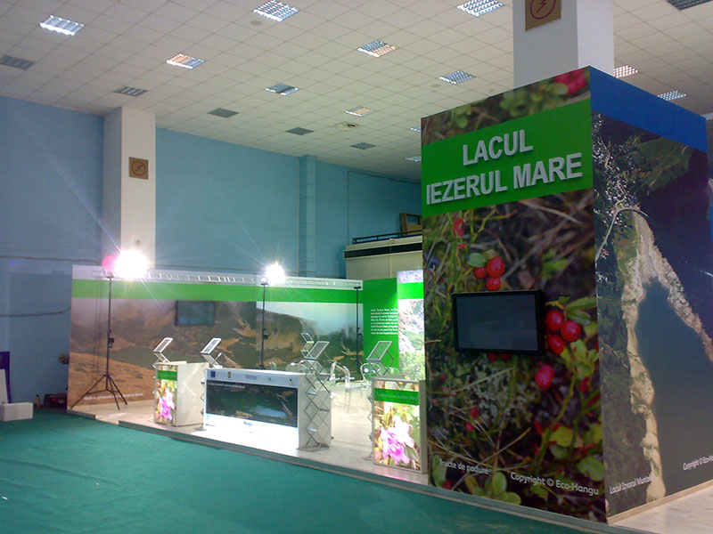 Proiect